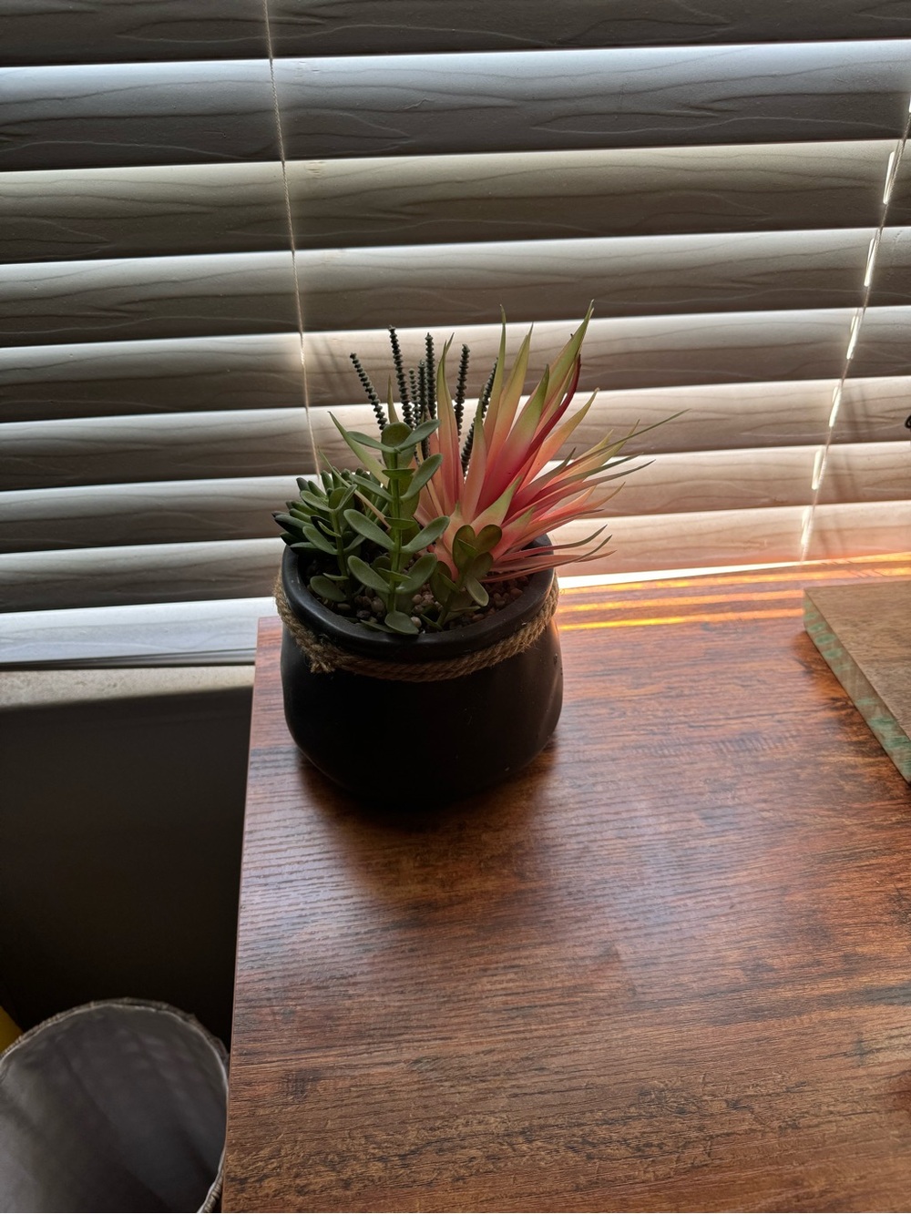 Artificial Succulent Arrangement in Black Rope-Trim Pot - Picture 3 of 6